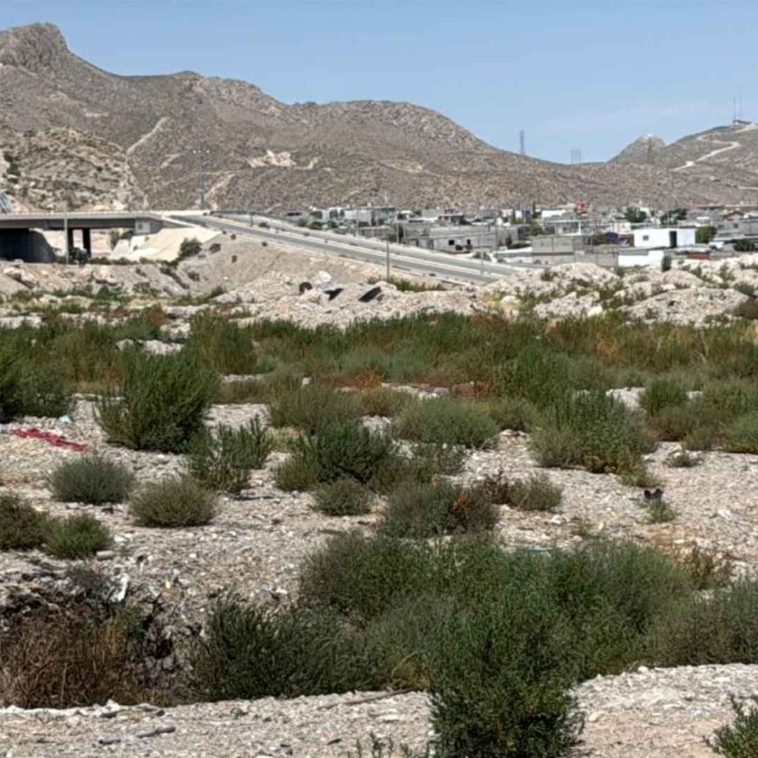 Realizarán Pruebas para Identificar los Restos